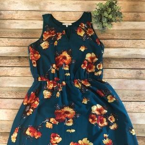 41 Hawthorn dress